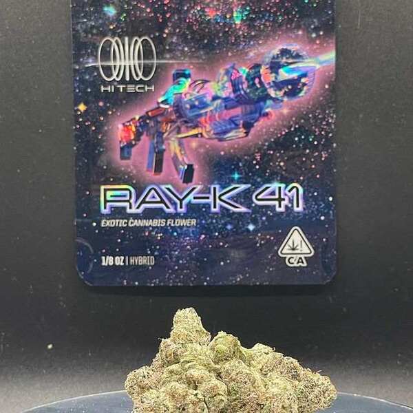 buy Ray-K 41 weed strain hi-tech universe