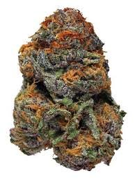 hybrids strains