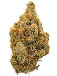 buy sativa strain